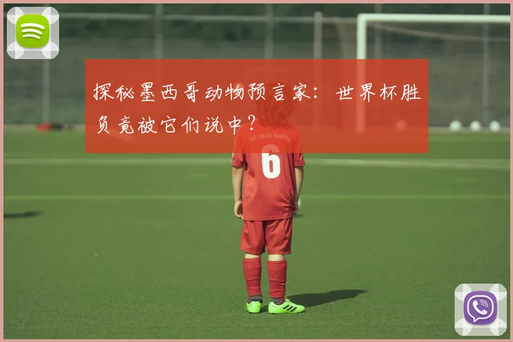 探秘墨西哥动物预言家:世界杯胜负竟被它们说中?