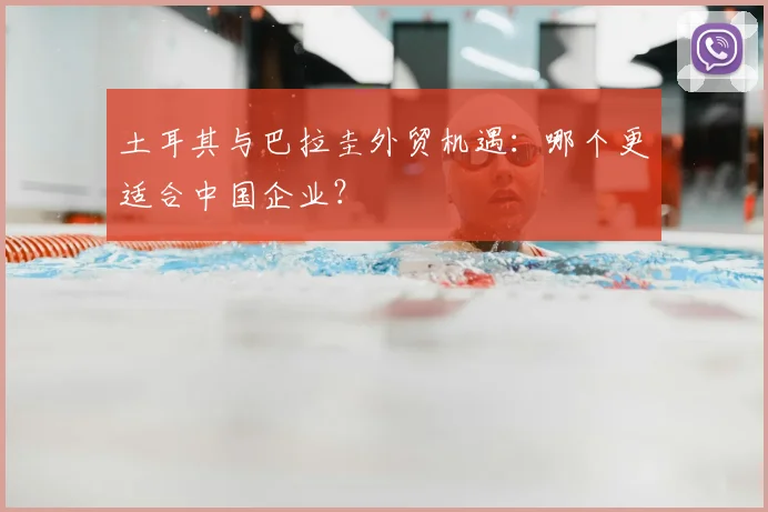 土耳其与巴拉圭外贸机遇:哪个更适合中国企业?