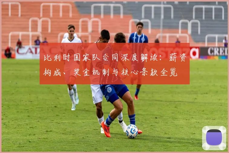 比利时国家队合同深度解读:薪资构成、奖金机制与核心条款全览