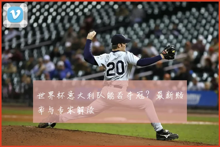 世界杯意大利队能否夺冠？最新赔率与专家解读